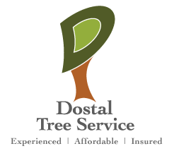 Dostal Tree Service