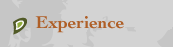 Experience