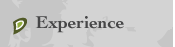 Experience